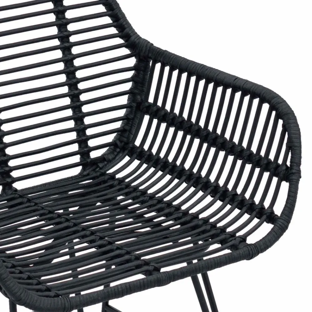vidaXL Silla de comedor 2 pcs 55 x 50 x 74 cm Ratan e Hierro Negro Sale