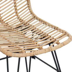 vidaXL Silla de comedor 2 pcs 44 x 47 x 85 cm Ratan e Hierro Natural Sale