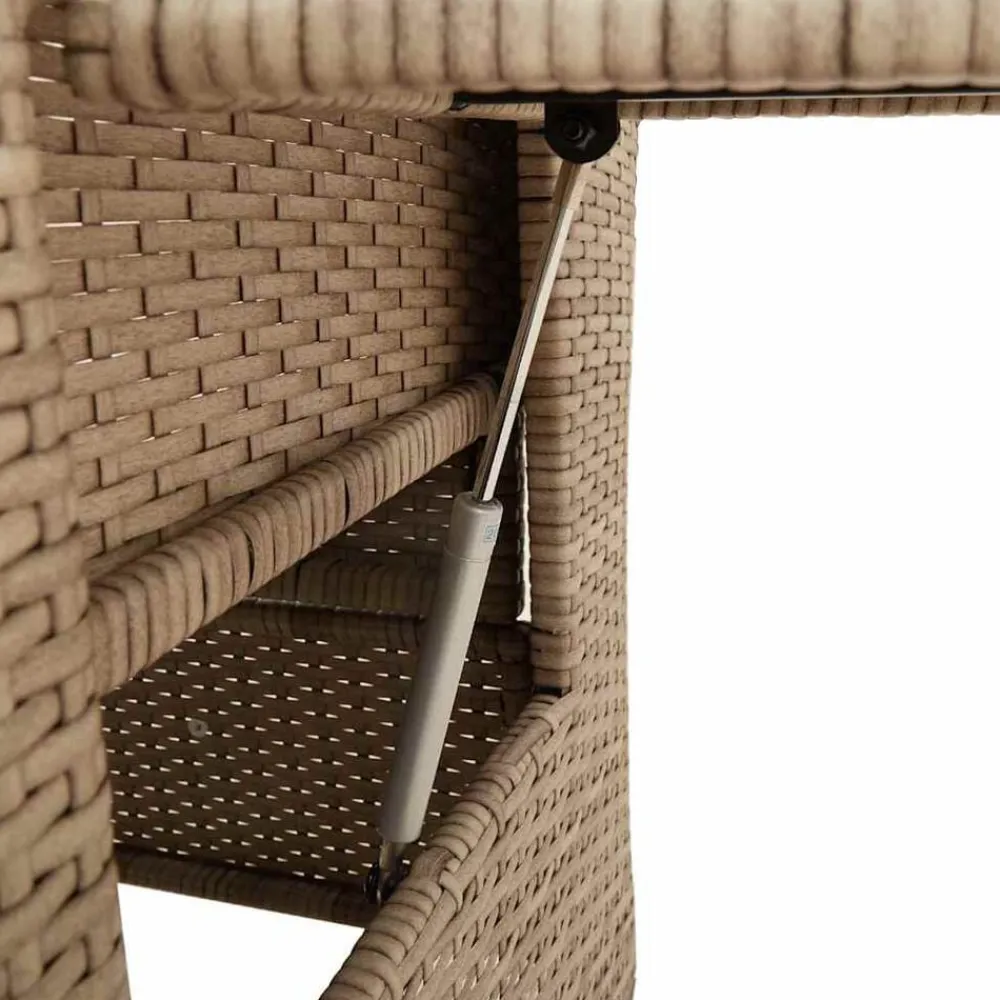 vidaXL Silla de jardín reclinable con mesa auxiliar ratán beige beige y crema Outlet