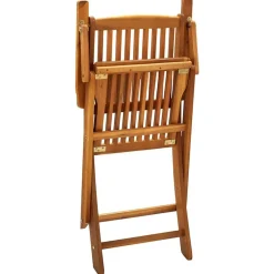 vidaXL Sillas de jardín plegables 2 unidades madera maciza de acacia Marrón