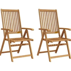 vidaXL Sillas plegables de jardín 2 uds madera maciza acacia marrón Best