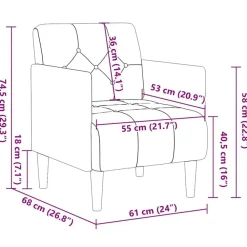 vidaXL Sillas-Sillón con reposabrazos Terciopelo 55 cm