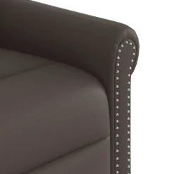 vidaXL Sillas-Sillón de masaje elevable eléctrico marrón brillante