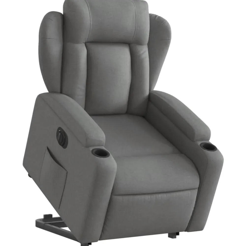 vidaXL Sillón eléctrico reclinable elevable de tela Gris oscuro Outlet