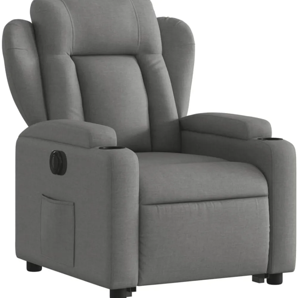 vidaXL Sillón eléctrico reclinable elevable de tela Gris oscuro Outlet