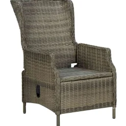 vidaXL Sillón reclinable de jardín con cojines ratán sintético marrón Marr&oacute;n Discount