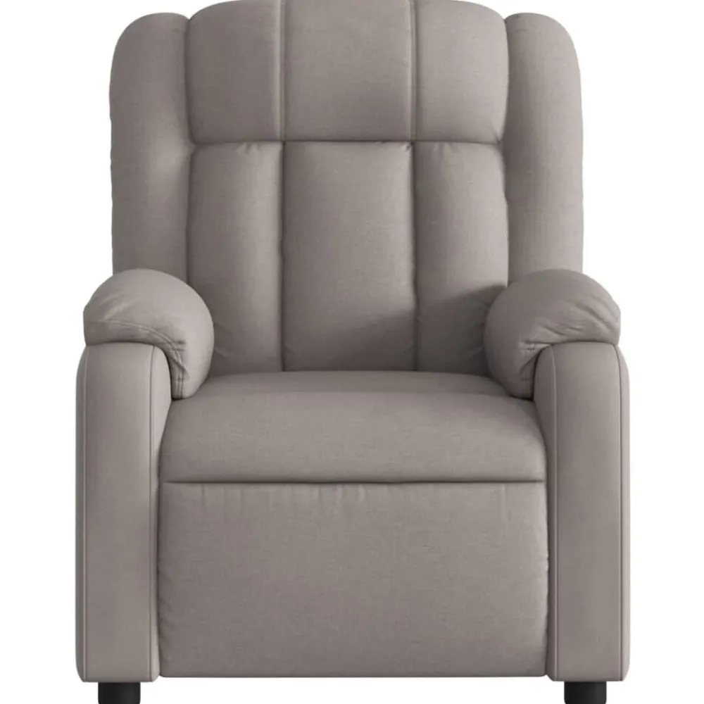 vidaXL Sillas-Sillón reclinable eléctrico tela gris