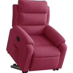 vidaXL Sillón reclinable elevable terciopelo rojo tinto Rojo vino tinto Outlet