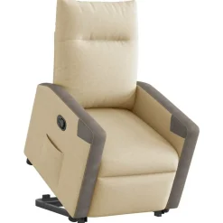 vidaXL Sillas-Sillón reclinable elevable de tela color