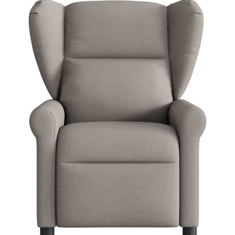 vidaXL Sillas-Sillón reclinable eléctrico tela gris