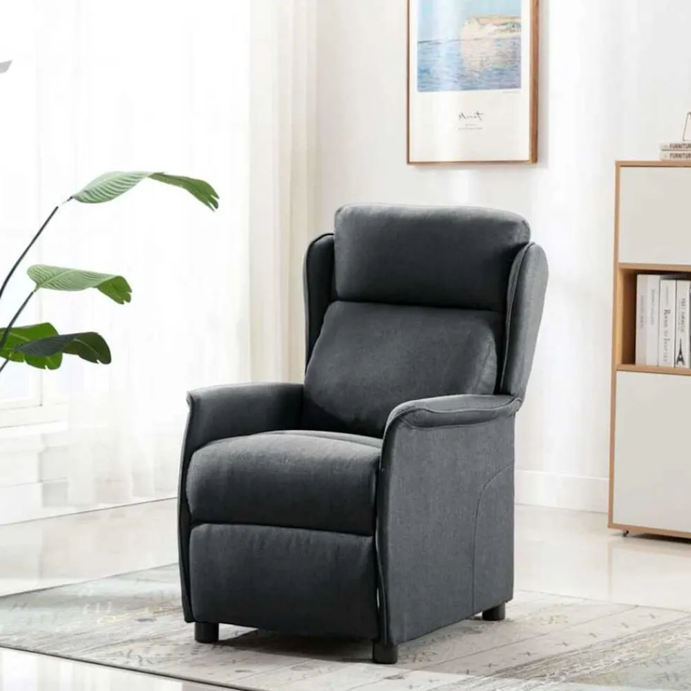vidaXL Sillón reclinable 66.5 x 94 x 101.5 cm Poliéster Gris oscuro Outlet