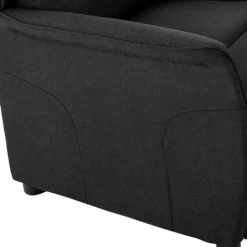vidaXL Sillas-Sillón reclinable 66.5 x 94 x 101.5 cm Poliéster