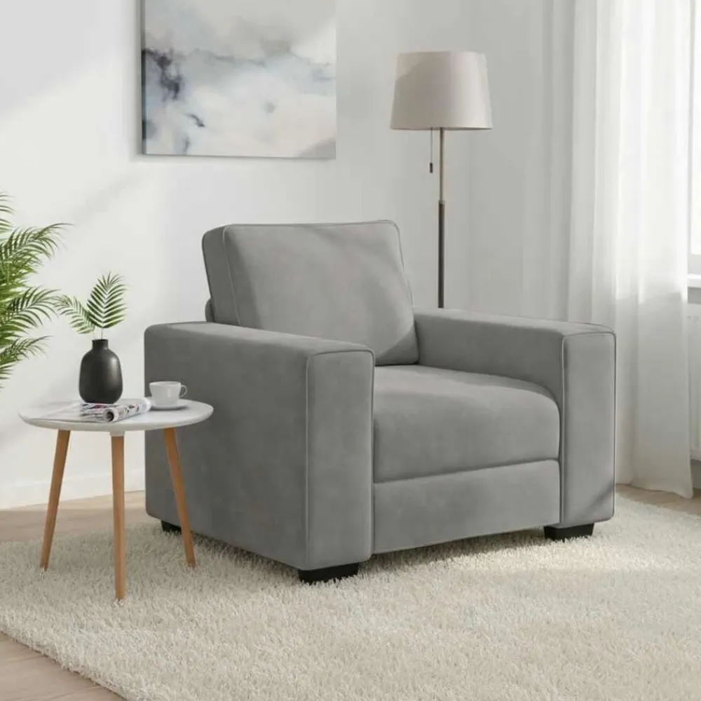 vidaXL Sillón sofá 100x77x82 cm terciopelo Gris claro Best