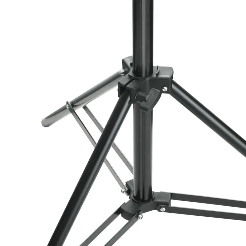 vidaXL Cámaras Y Objetivos-Sistema de soporte de telón fondo 500x300 cm
