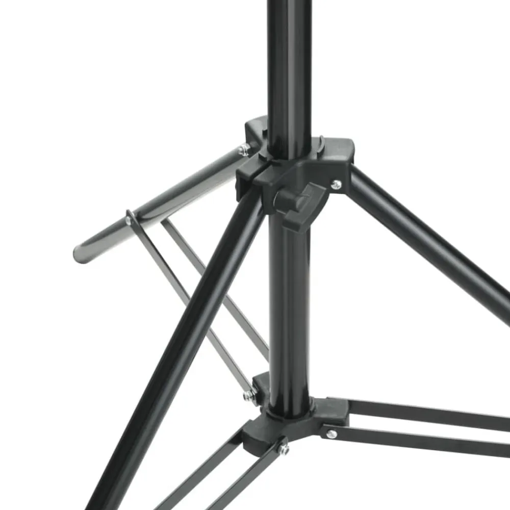 vidaXL Sistema de soporte de telón fondo fotográfico 600x300 cm Negro Outlet