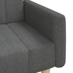 vidaXL Sofá cama de 2 plazas tela Gris oscuro Outlet