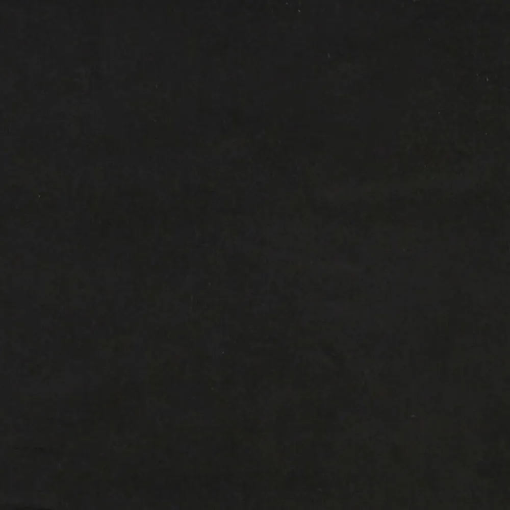 vidaXL Sofá cama nido con cajones terciopelo 80x200 cm Negro Best