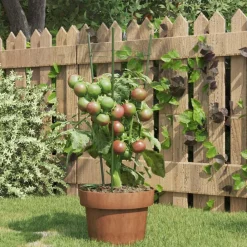vidaXL Jardín-Soportes plantas jardín con 3 anillas 5 uds acero verde 45 cm