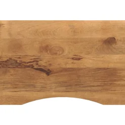vidaXL Accesorios Para Mesas-Tablero de escritorio con curva madera mango rugosa 90x60x2,5cm