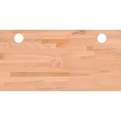vidaXL Accesorios Para Mobiliario De Oficina-Tablero de escritorio madera maciza de haya 100x50x1,5 cm