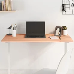 vidaXL Accesorios Para Mobiliario De Oficina-Tablero de escritorio madera maciza de haya 100x50x1,5 cm