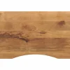 vidaXL Accesorios Para Mesas-Tablero de escritorio con curva madera mango rugosa 90x50x2,5cm