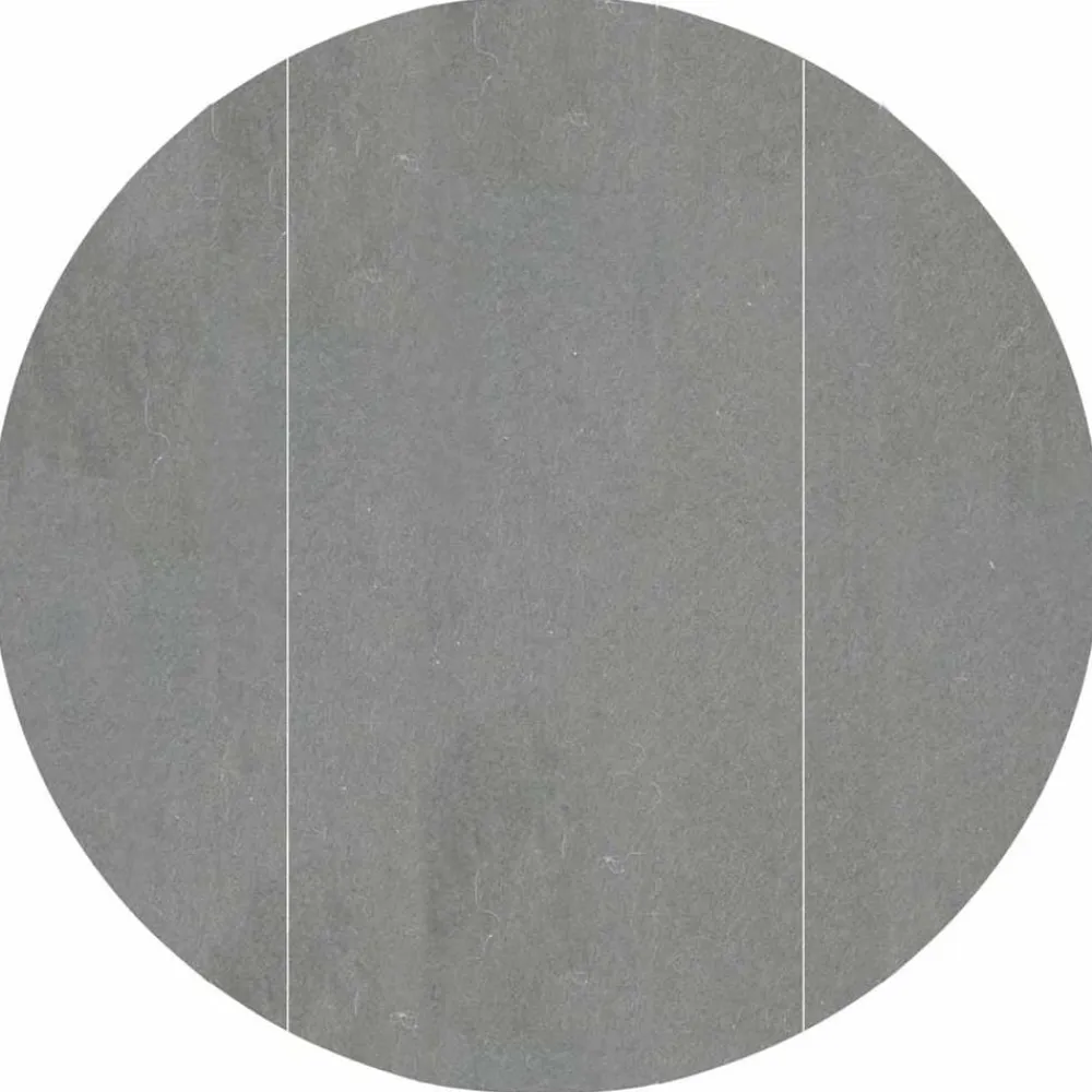 vidaXL Piscina Y Spa-Tapiz de suelo piscina geotextil de poliéster gris claro Ø306cm