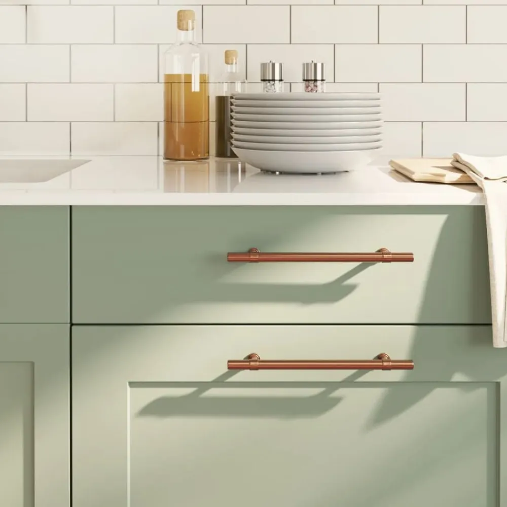 vidaXL Accesorios De Bricolaje-Tiradores para armarios 10 uds acero inoxidable 160 mm