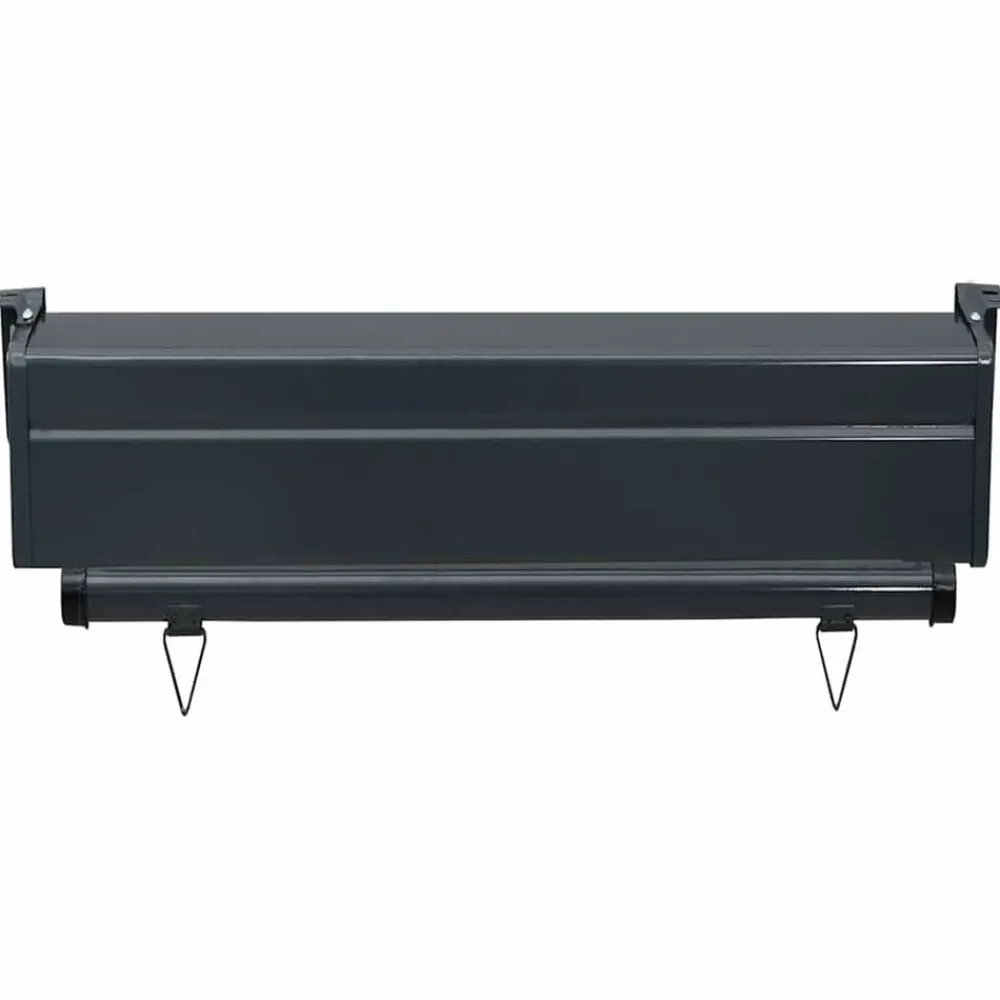 vidaXL Jardín-Toldo lateral de balcón color 65x250 cm