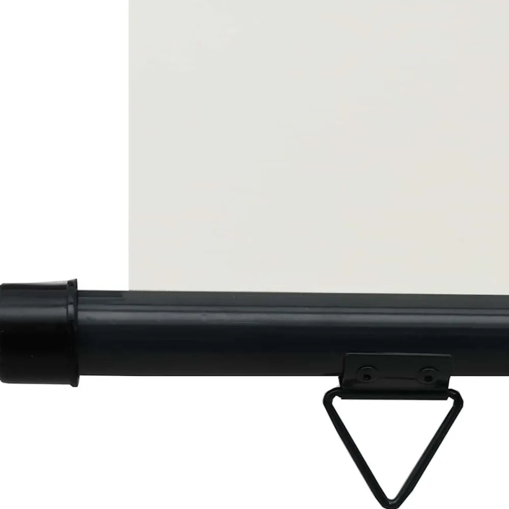 vidaXL Jardín-Toldo lateral de balcón color 65x250 cm