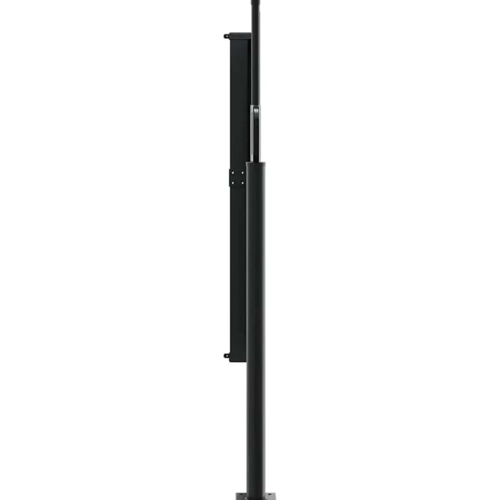 vidaXL Jardín-Toldo lateral retráctil marrón 100x300 cm