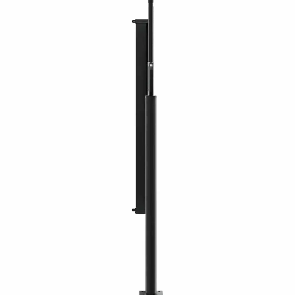 vidaXL Jardín-Toldo lateral retráctil 100x300 cm