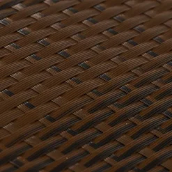vidaXL Vallas De Jardín-Toldos de balcón 10 uds ratán sintético marrón negro 255x19 cm