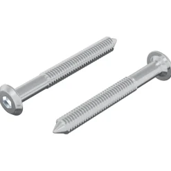 vidaXL Accesorios De Bricolaje-Tornillo 2 pcs Plateado M6 x 50 mm Acero
