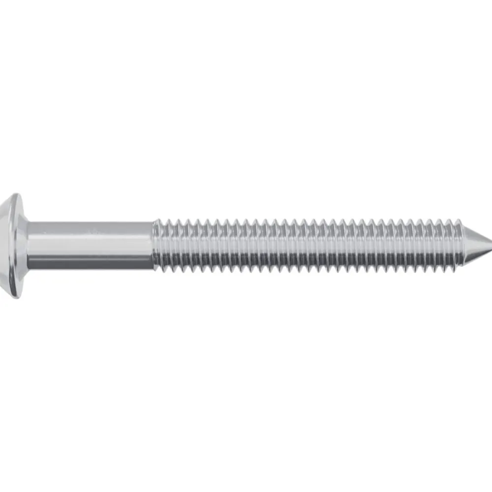 vidaXL Accesorios De Bricolaje-Tornillo 2 pcs Plateado M6 x 50 mm Acero