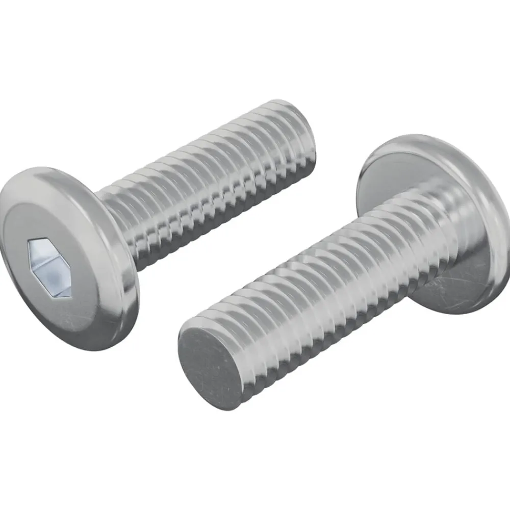 vidaXL Tornillo 2 pcs Plateado 8 x 25 mm Acero Discount