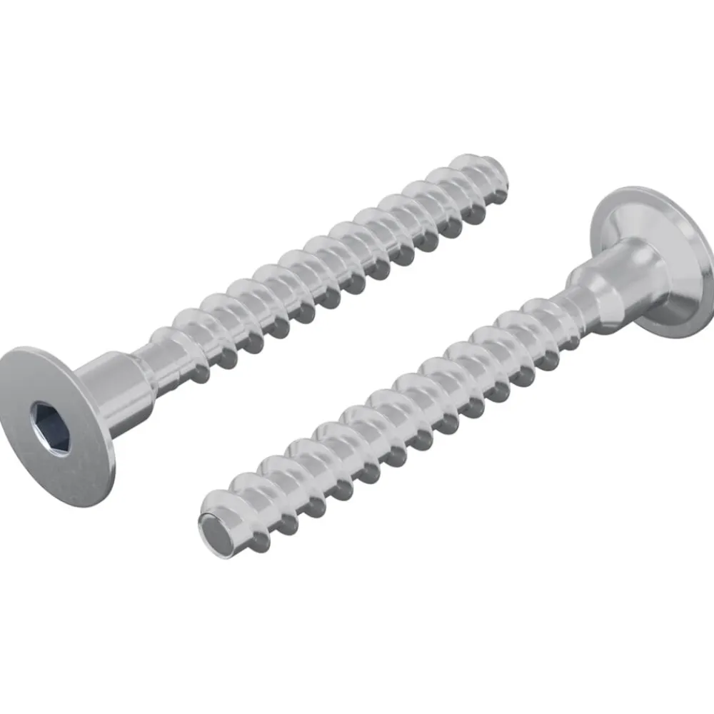 vidaXL Accesorios De Bricolaje-Tornillo 2 pcs Recubierto de zinc 5 x 40 mm Hierro