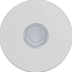 vidaXL Accesorios De Bricolaje-Tornillo 2 pcs Recubierto de zinc 5 x 40 mm Hierro
