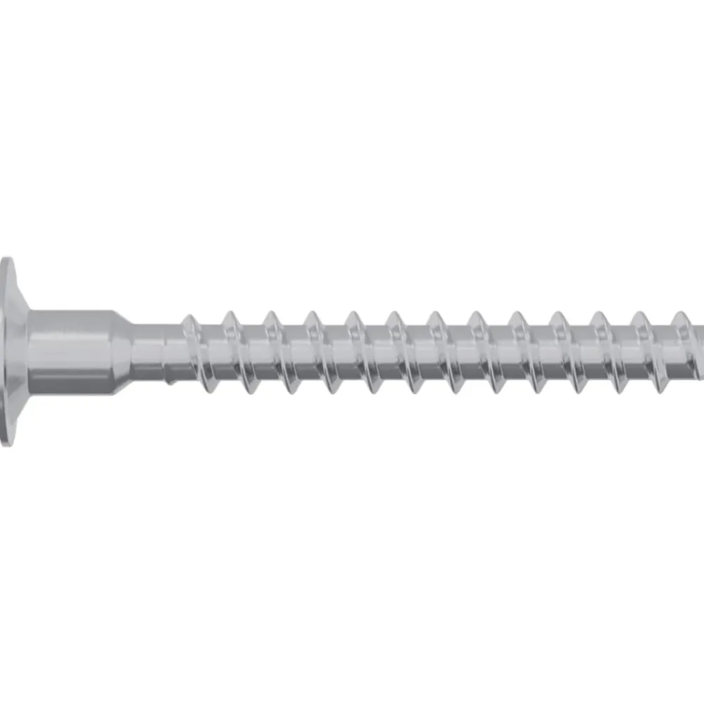 vidaXL Accesorios De Bricolaje-Tornillo 2 pcs Recubierto de zinc 5 x 40 mm Hierro