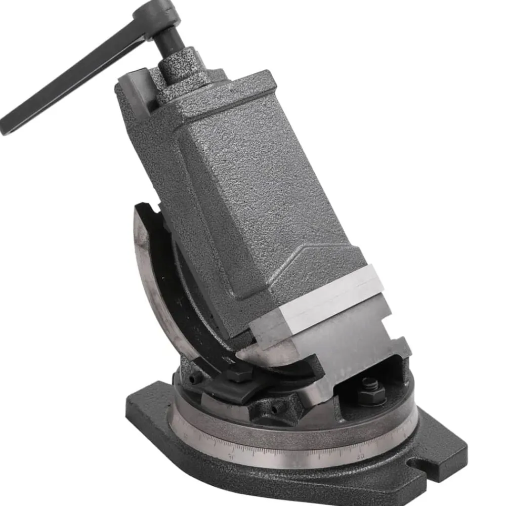 vidaXL Tornillo de banco basculante de 2 ejes 100 mm Online