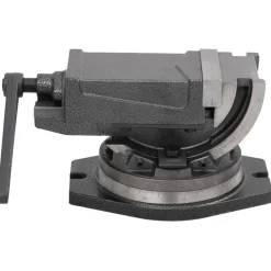 vidaXL Tornillo de banco basculante de 2 ejes 100 mm Online