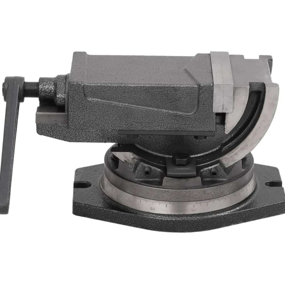 vidaXL Tornillo de banco basculante de 2 ejes 100 mm Online