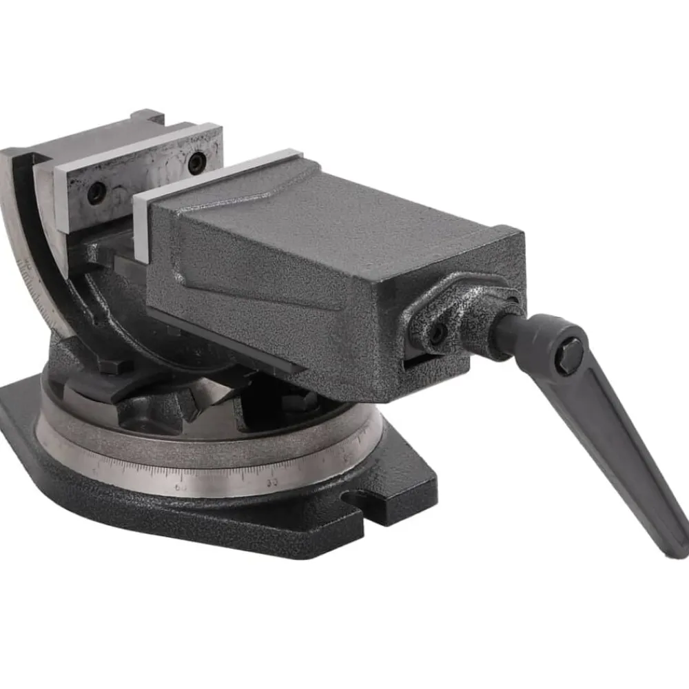vidaXL Tornillo de banco basculante de 2 ejes 100 mm Online
