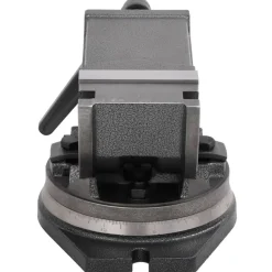 vidaXL Tornillo de banco basculante de 2 ejes 100 mm Online