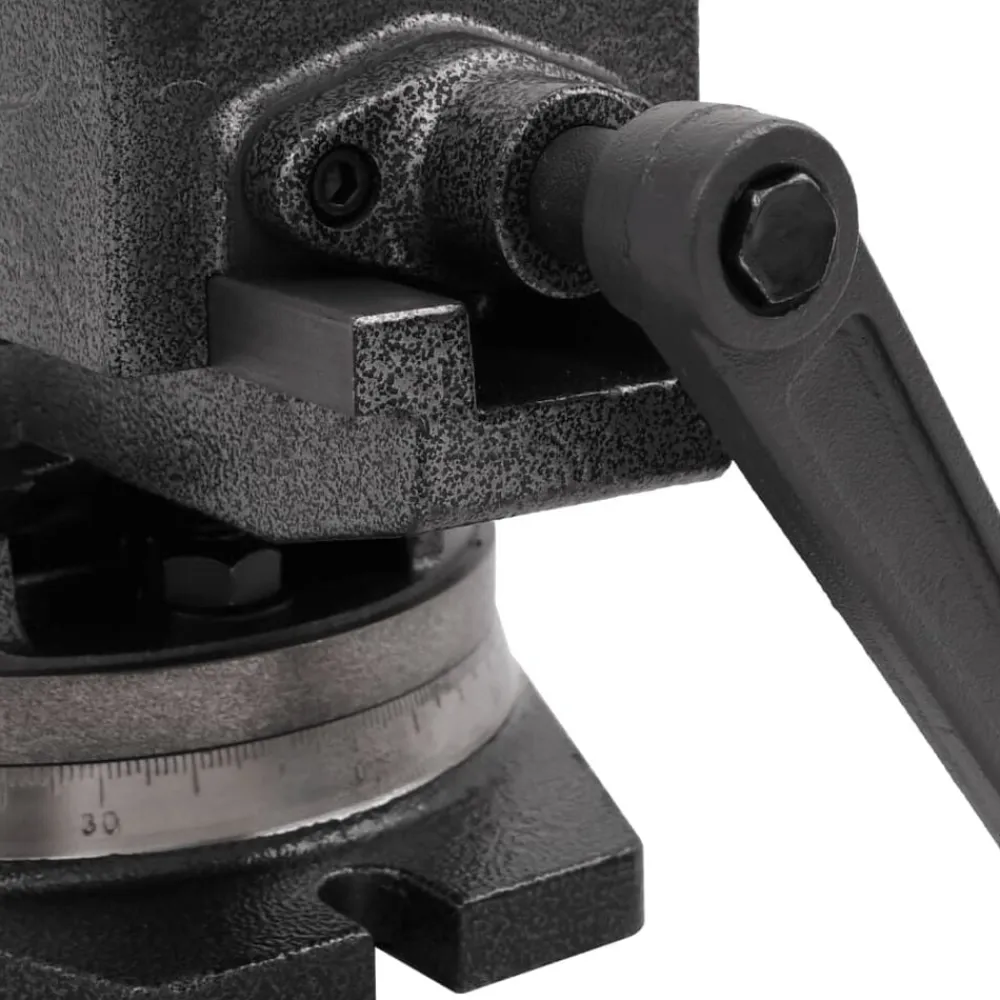 vidaXL Tornillo de banco basculante de 2 ejes 100 mm Online