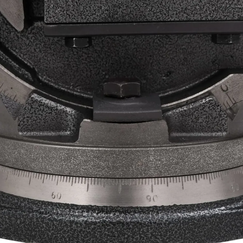 vidaXL Tornillo de banco basculante de 2 ejes 100 mm Online