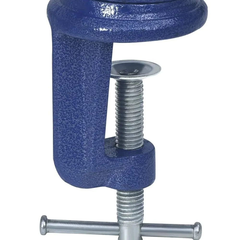 vidaXL Herramientas-Tornillo de banco de hierro fundido 60 mm