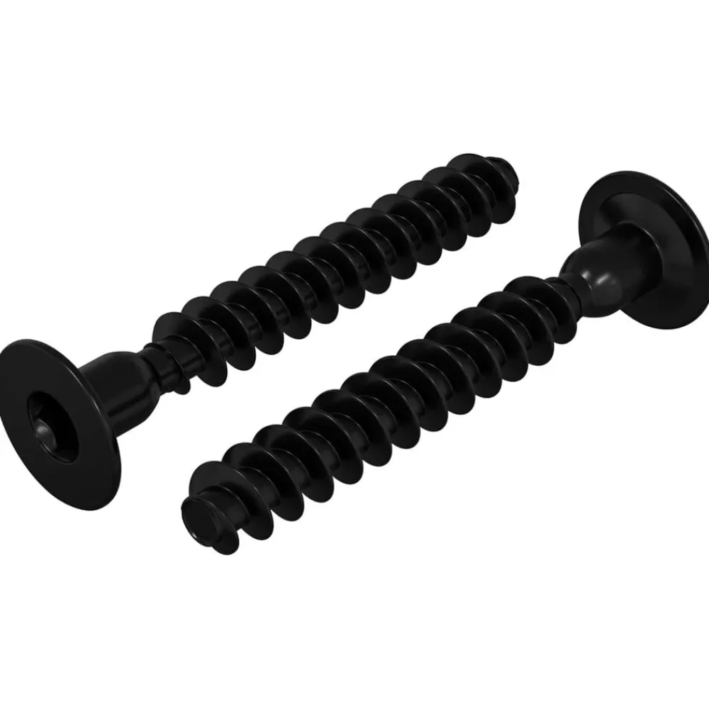 vidaXL Accesorios De Bricolaje-Tornillo de Cabeza de Capuchón de Enchufe 2 pcs Negro Hierro