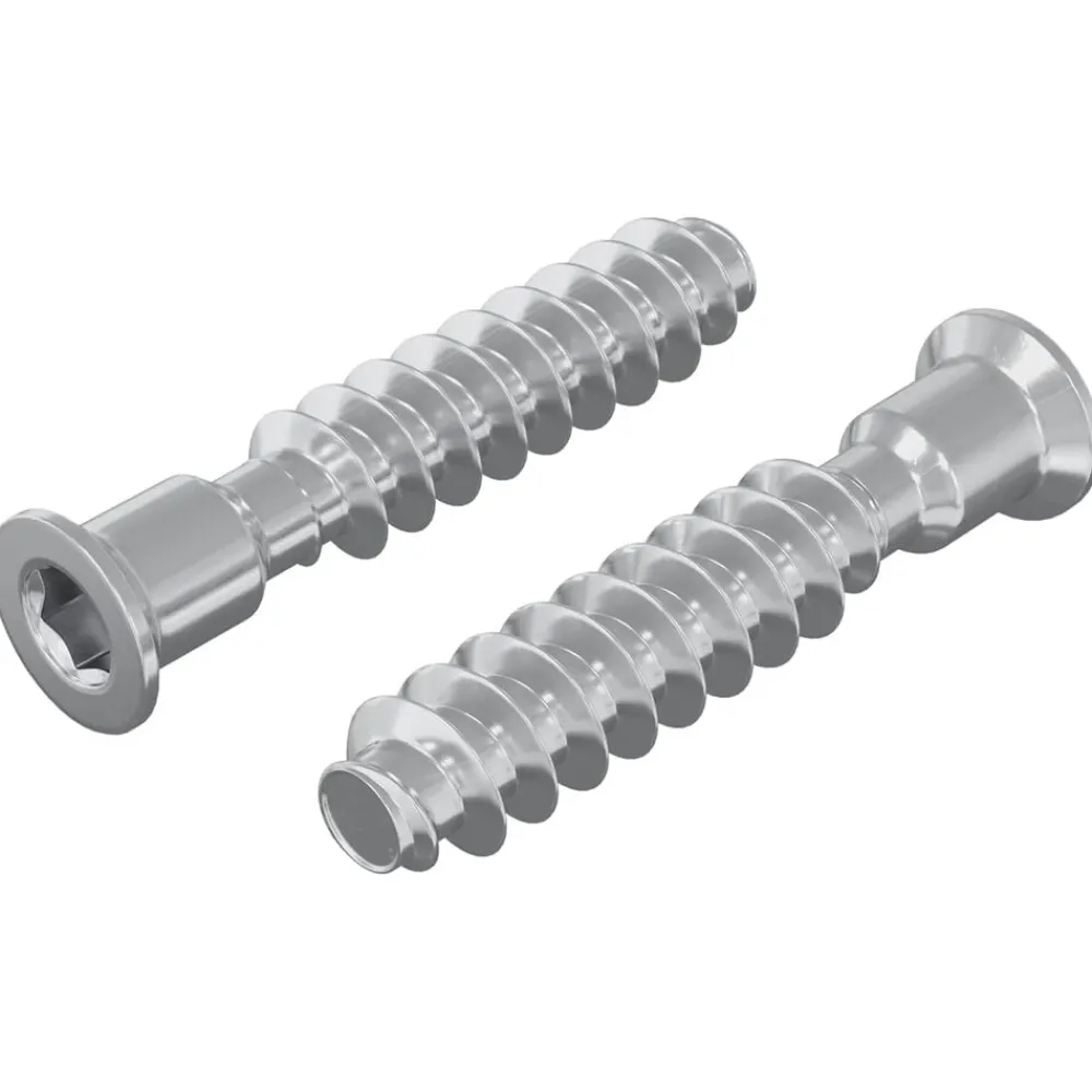 vidaXL Accesorios De Bricolaje-Tornillo de cabeza cap 2 pcs Plateado M7 x 40 mm Acero