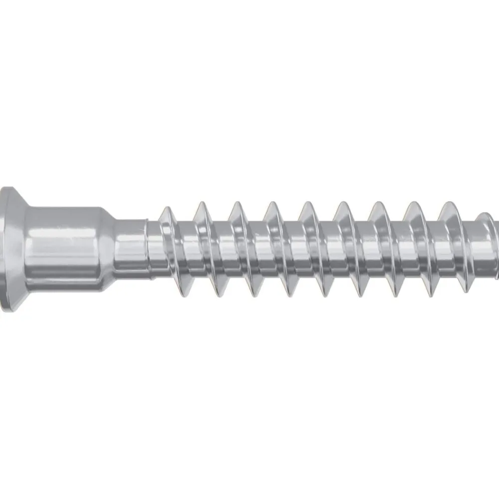 vidaXL Accesorios De Bricolaje-Tornillo de cabeza cap 2 pcs Plateado M7 x 40 mm Acero